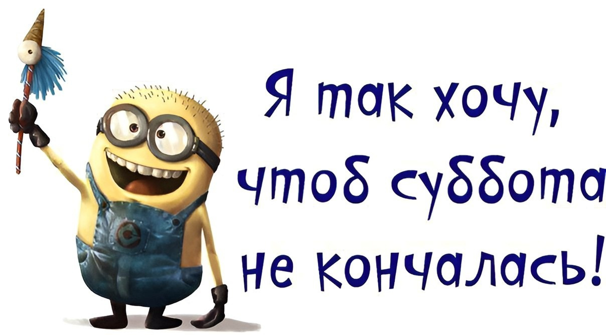 Хочу вечернюю. Суббота картинки. Суббота картинки прикольные. Вечер субботы смешные картинки. Субботние картинки прикольные.