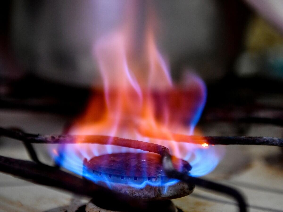    Конфорка газовой плиты© РИА Новости / Константин Михальчевский