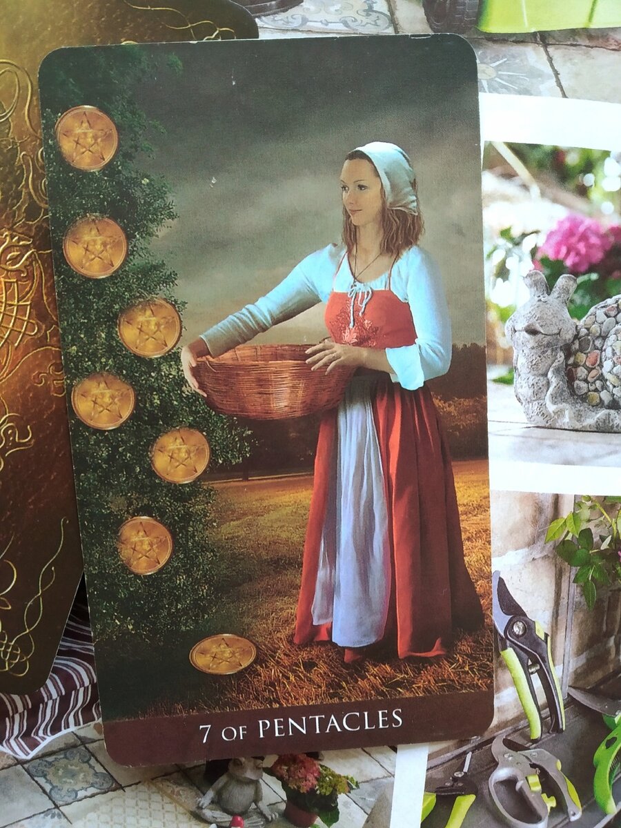 7 пентаклей Таро Арканум