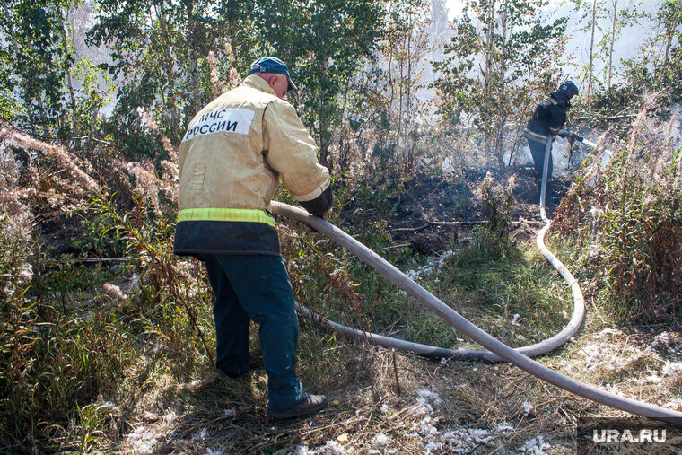    Система реагирования на лесные пожары пока распределена по разным ведомствам, считает Антон Хлынов