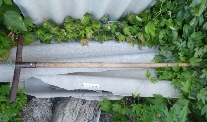    Забил знакомого бутылкой и граблями. Житель Сакмарского района ответит за убийство Кристина Просвиркина