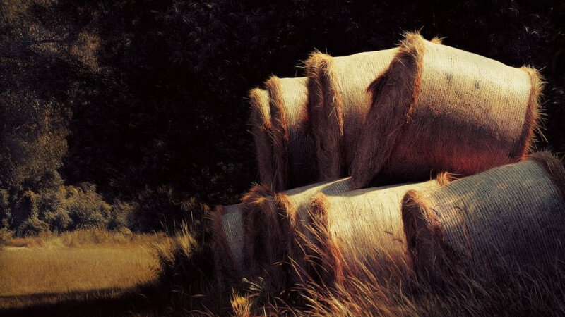     Урожай. Сено. СС0