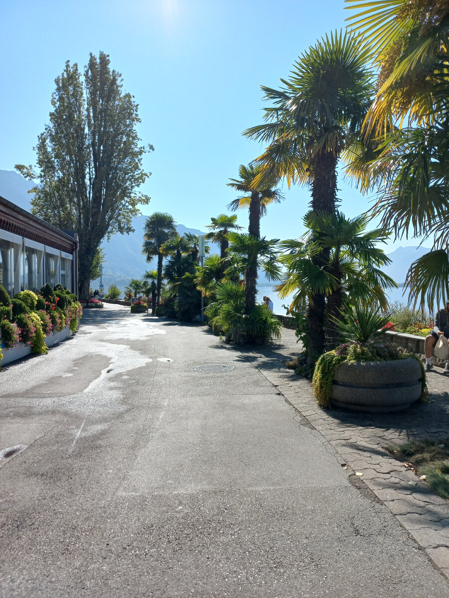 Мы гуляли по набережной и любовались обилием цветов и самим озером. Оно прекрасно.