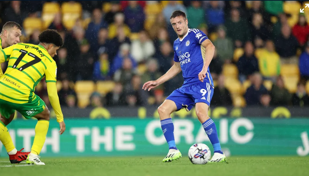 Выражение лица Варди идеально подходит для описания игры Лестера в прошлом сезоне. Фото: Фото: lcfc.com