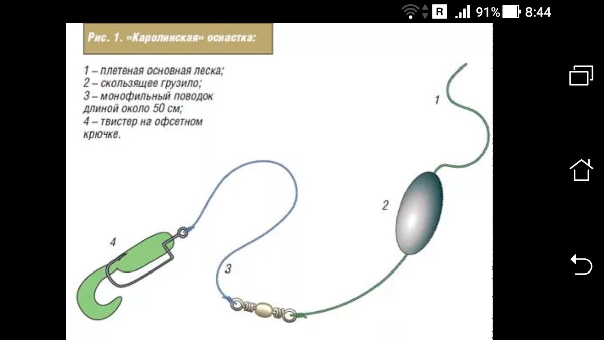 Простая каролинская оснастка для ловли щуки | Фото заметки из моей жизни в  Крым | Дзен
