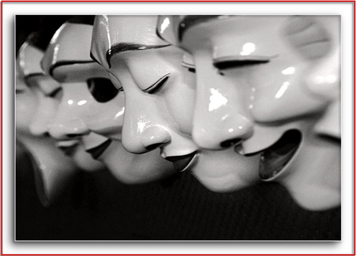 Определите общие признаки: