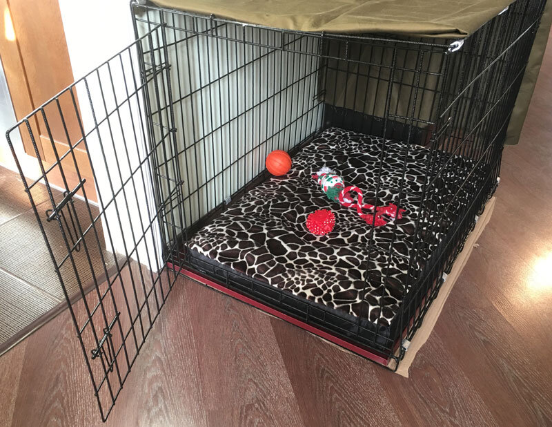 В общем, для Вериссы мы выбрали клетку №4, уложили туда высокую, мягкую лежанку, под которой спрятался бордовый металлический поддон.