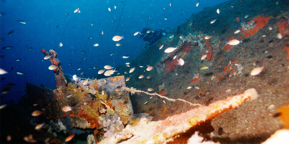 фото Kostas Thoktaridis
 