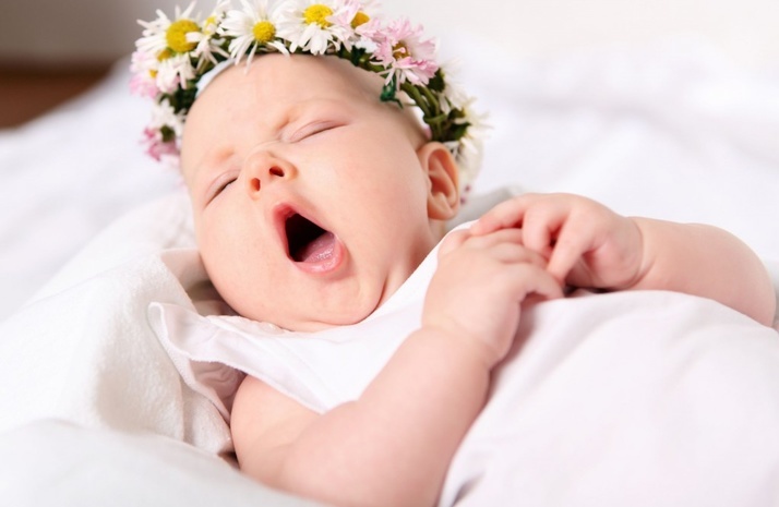 Фото взято из открытого источника 