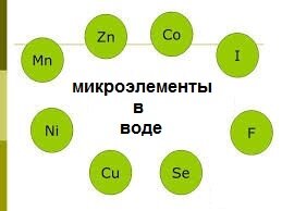 Какие микроэлементы в воде. Какие микроэлементы в воде