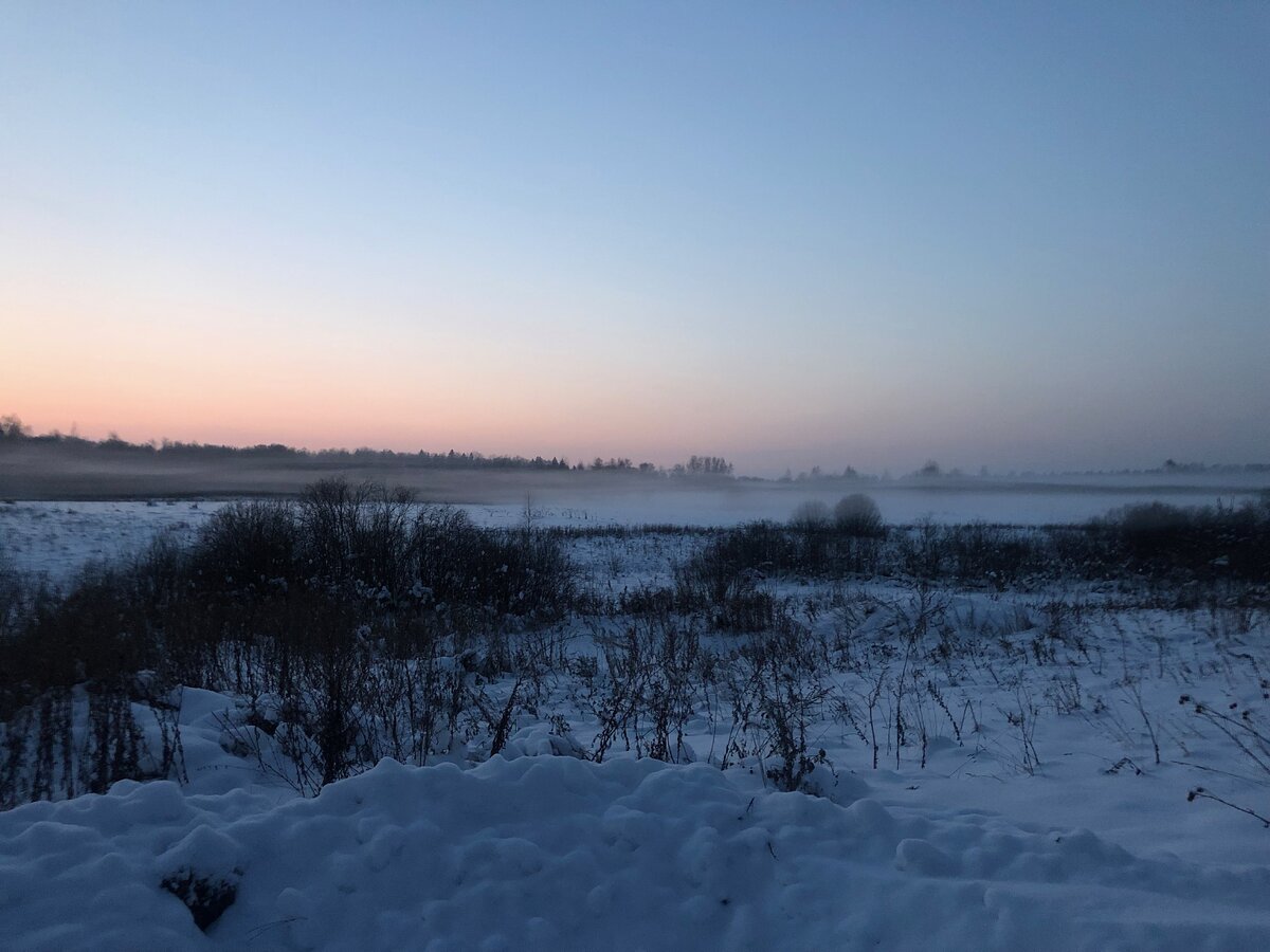 Саша живет в деревенском доме, а в сарае у него есть погреб, где хранится, например, внушительный запас гречки, тушенка, дизельное топливо, вода...