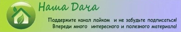 Те, кто хоть раз сажал огурцы рассадным способом, знают, что пересаживать их потом в грунт – сплошное мучение. Корешки огуречной рассады такие неженки, повредить их при пересадке – раз плюнуть.-2