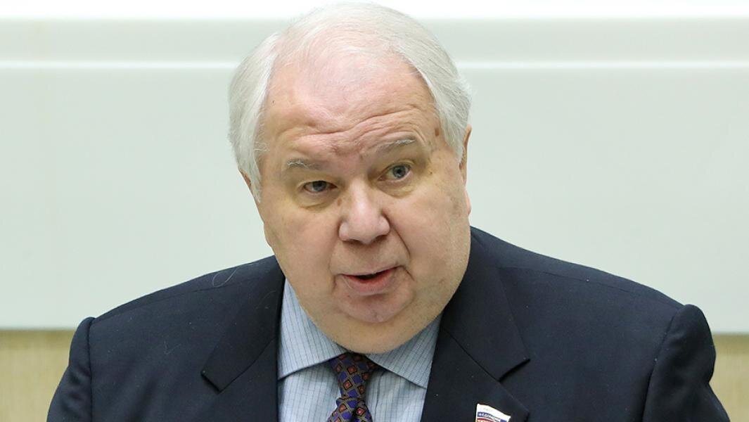Первый заместитель председателя комитета Совета Федерации РФ по международным делам Сергей Кисляк. Фото: ТАСС/Валерий Шарифулин
