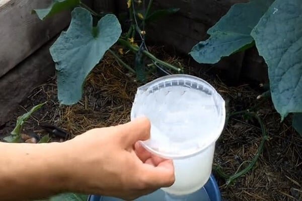 фото из открытых источников, для иллюстрации