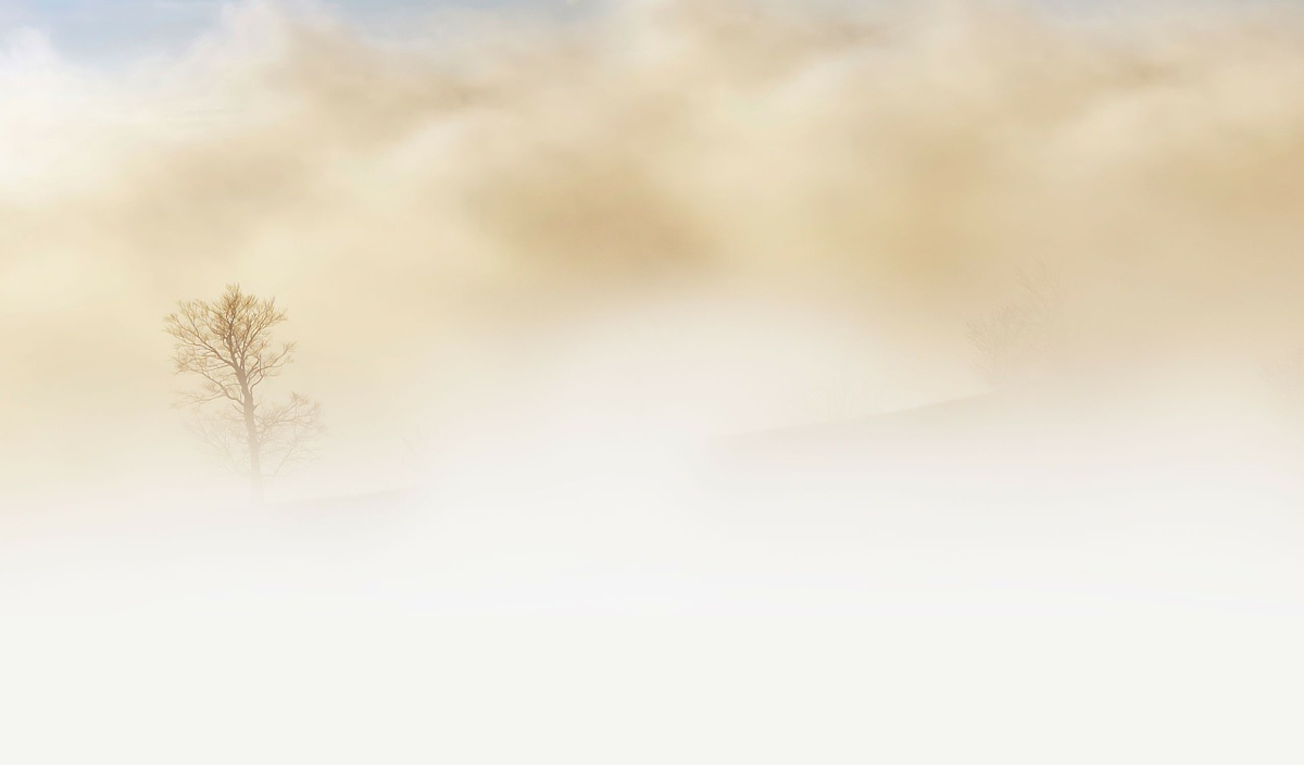 https://cdn.pixabay.com/photo/2014/01/07/18/34/fog-240075_1280.jpg