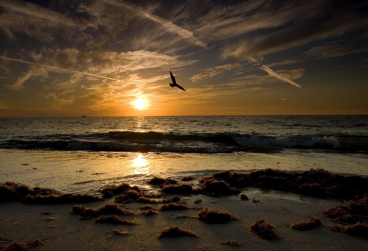 https://www.firestock.ru/more-v-zakat-sea-at-sunset-2/