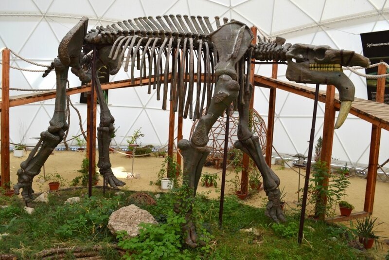 Фото из открытых источников Яндекс