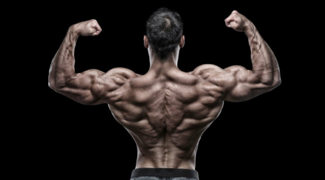 https://www.muscleandfitness.com/workouts/back-exercises/build-bigger-back-wing-man-workout