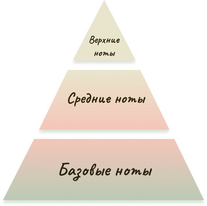 Ольфакторная пирамида аромата. Ольфакторная пирамида эфирных масел. Пирамида нот ароматов. Парфюм базовые Ноты.