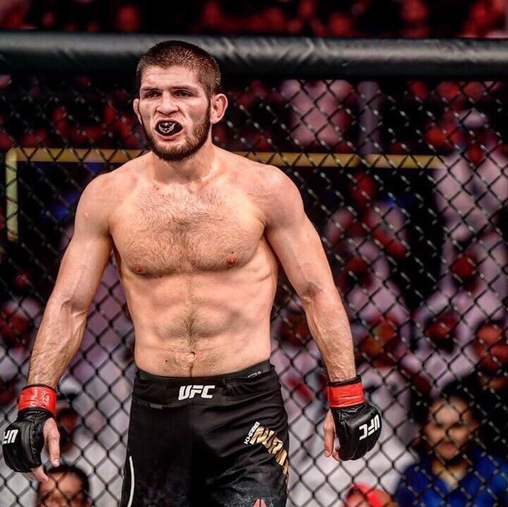 Khabib 