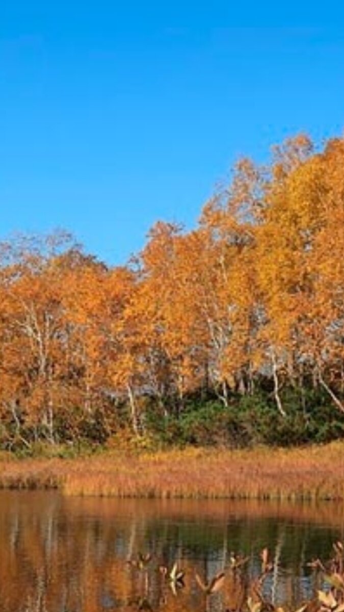 Осень сентября.