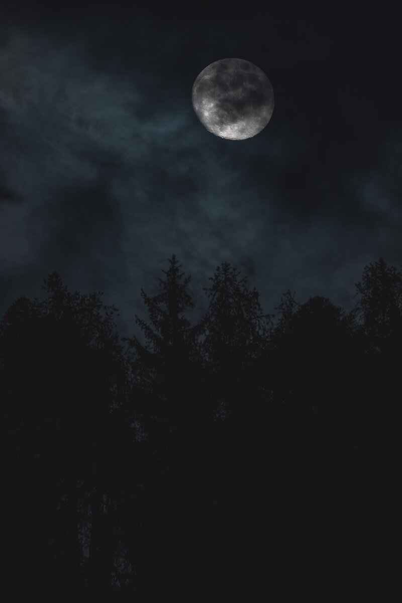 https://unsplash.com/photos/DOF0IvVwaBY