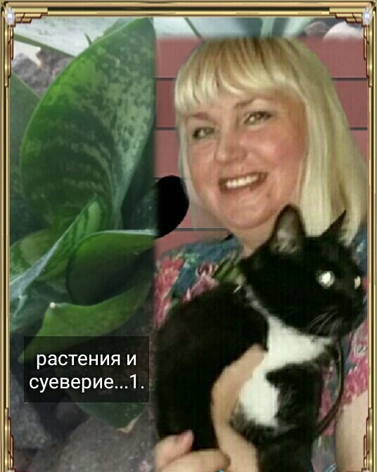 Фотоколлаж автора