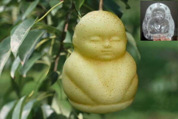 Съедобный Будда