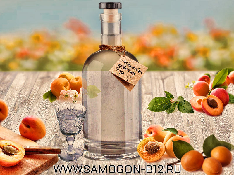 Яблочный мацерат. Самогон вишневый мацерат. Самогон б12 кемерово. Мацерат самогон. Мацерат самогон.