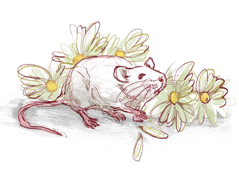 Фото взято из Яндекс.Картинки в качестве иллюстрации