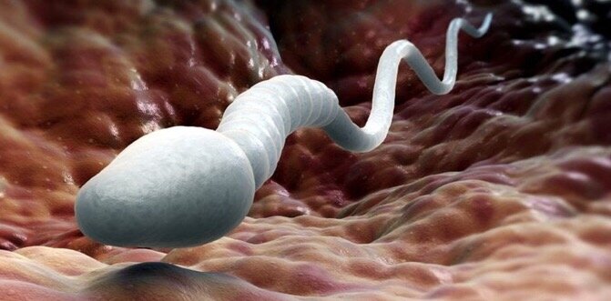 Фото из свободного доступа в интернете