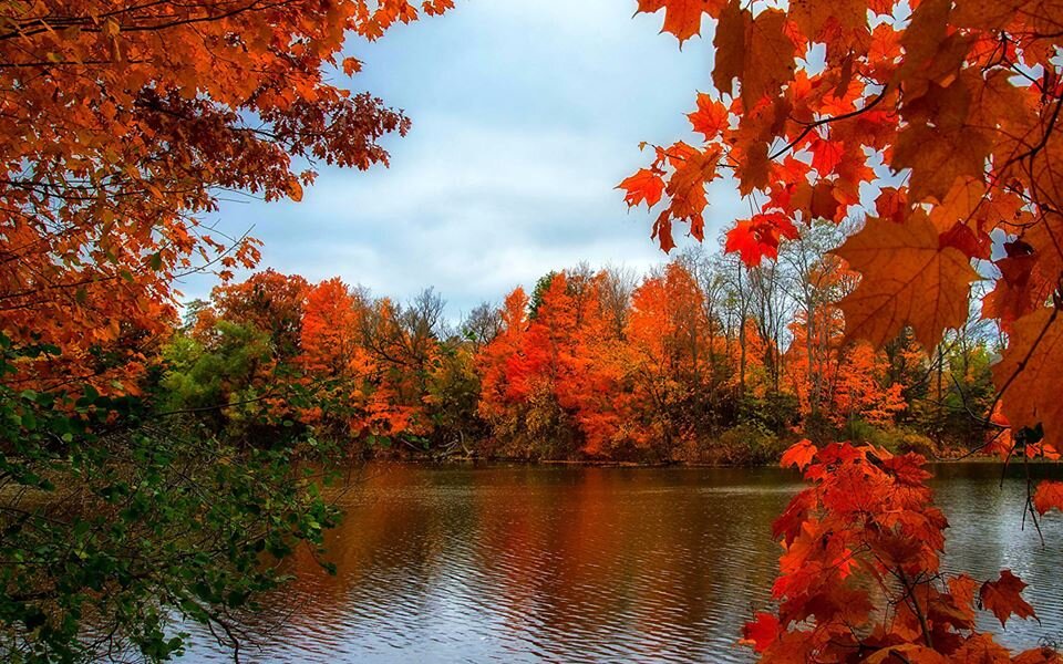 фото из яндекс картинки