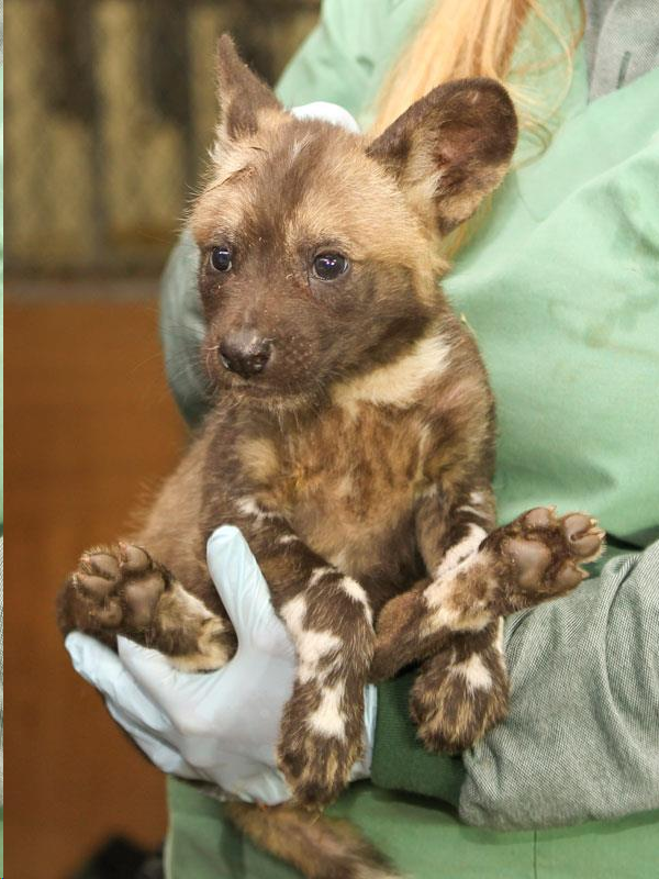 Источник: Яндекс Картинки