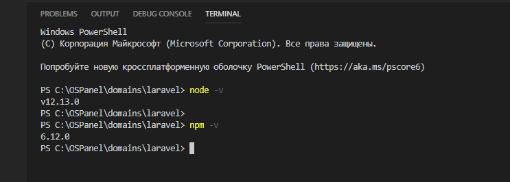 Данные команды покажут нам версию Node и Npm. 