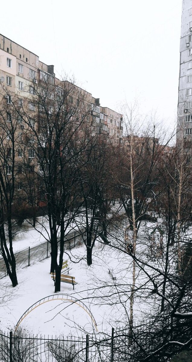 Фото из открытых источников 