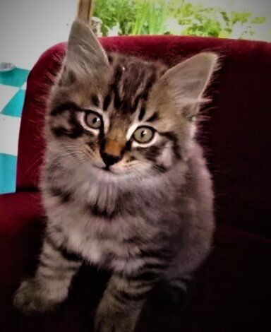 Фото из личного архива.