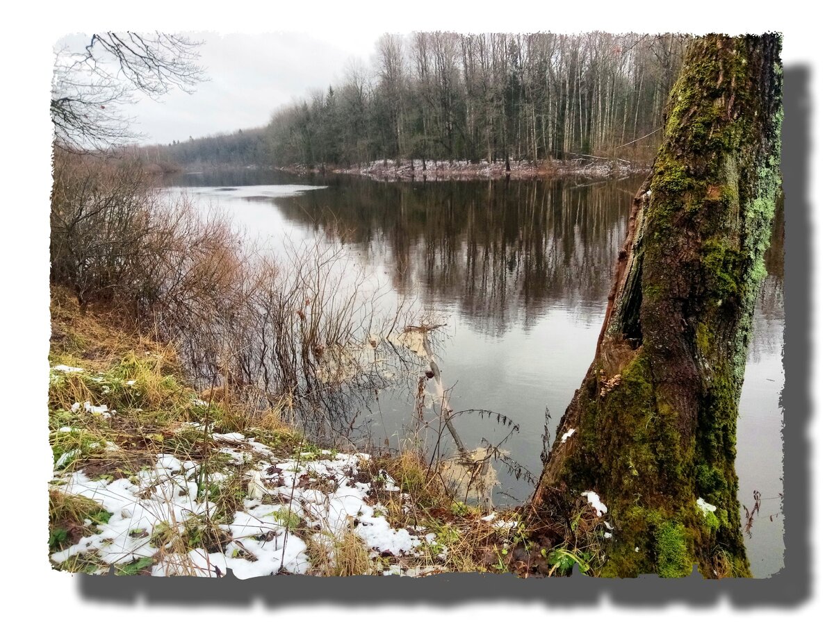 река Вишера /Авторское фото/