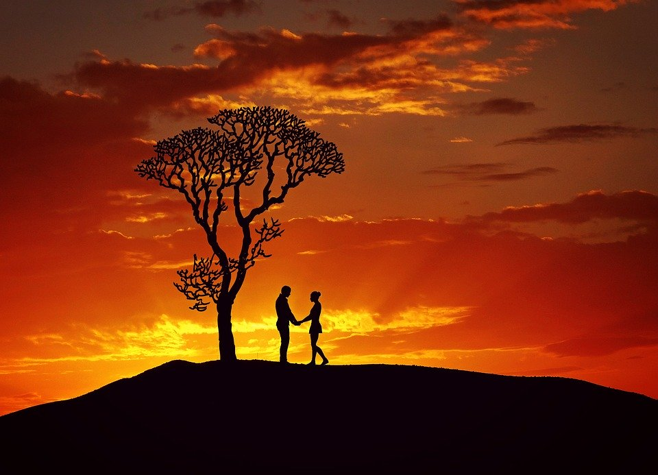 Фото:  https://pixabay.com/ru/illustrations/любовники-пара-роман-романтические-1676972/ 
