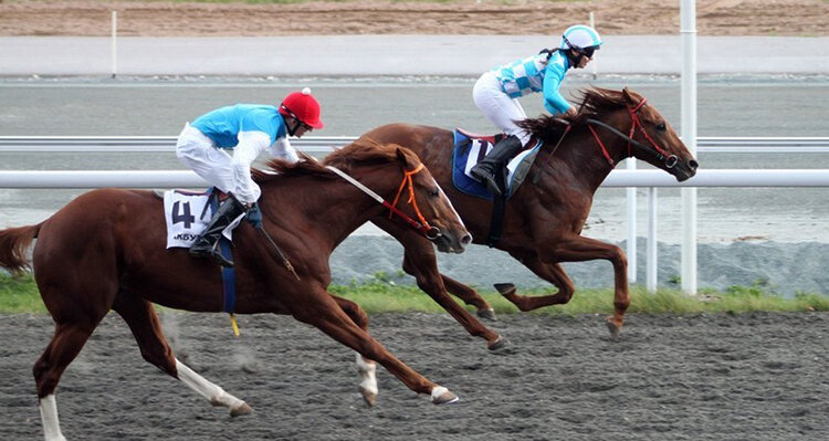 Фото из сети