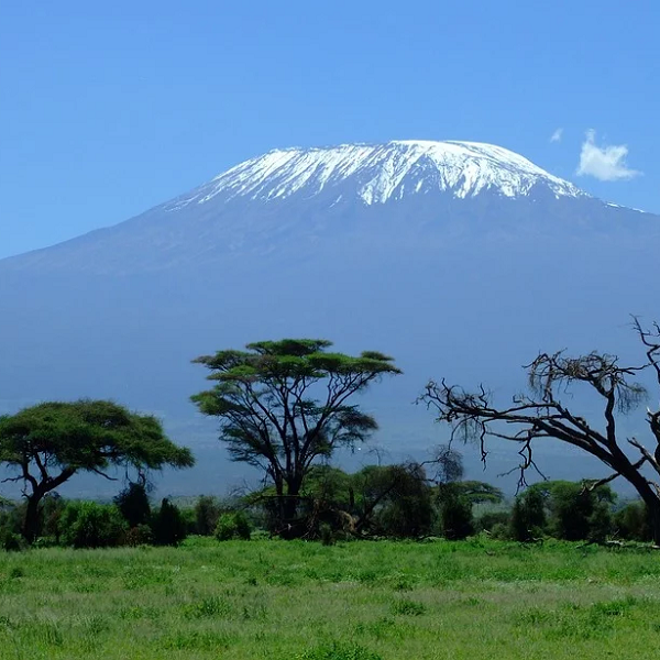 https://cdn.pixabay.com/photo/2015/11/05/23/41/kilimanjaro-1025146_960_720.jpg