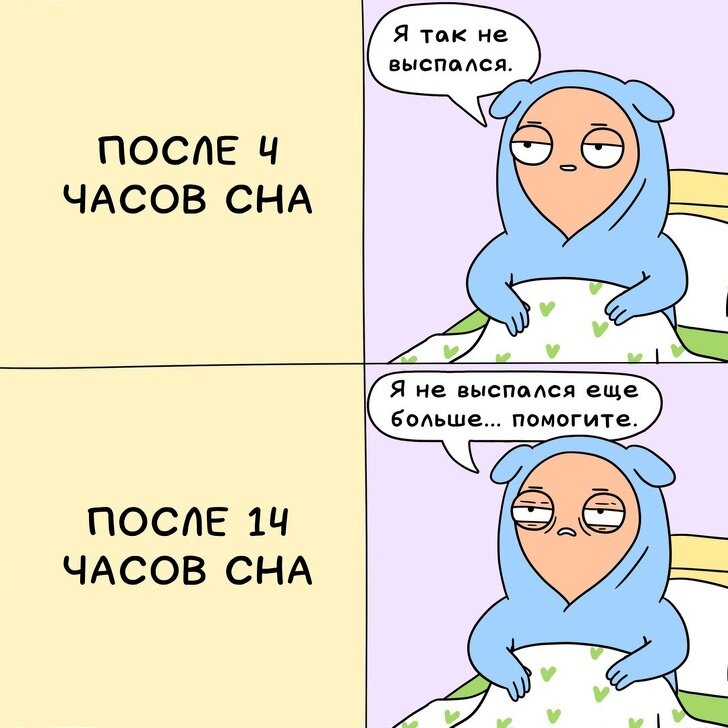Автор Шоныч