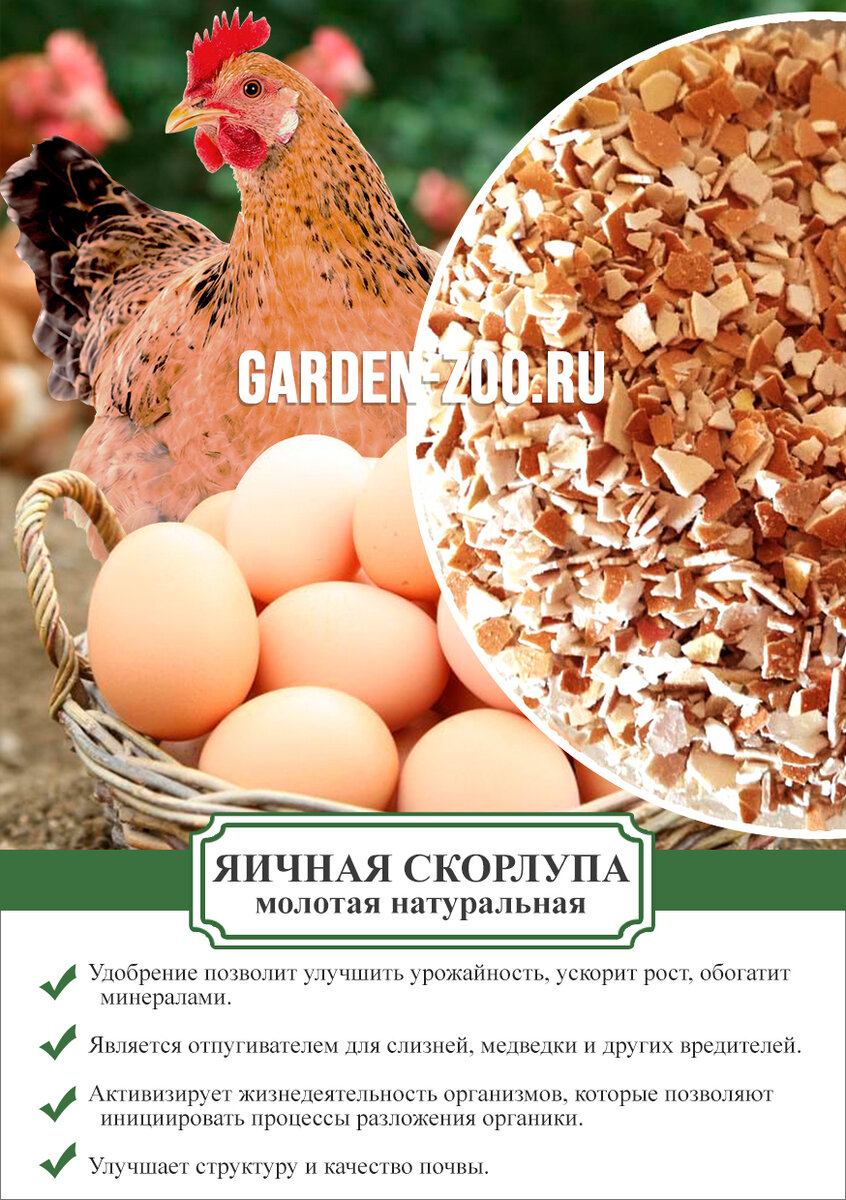 Яичная скорлупа