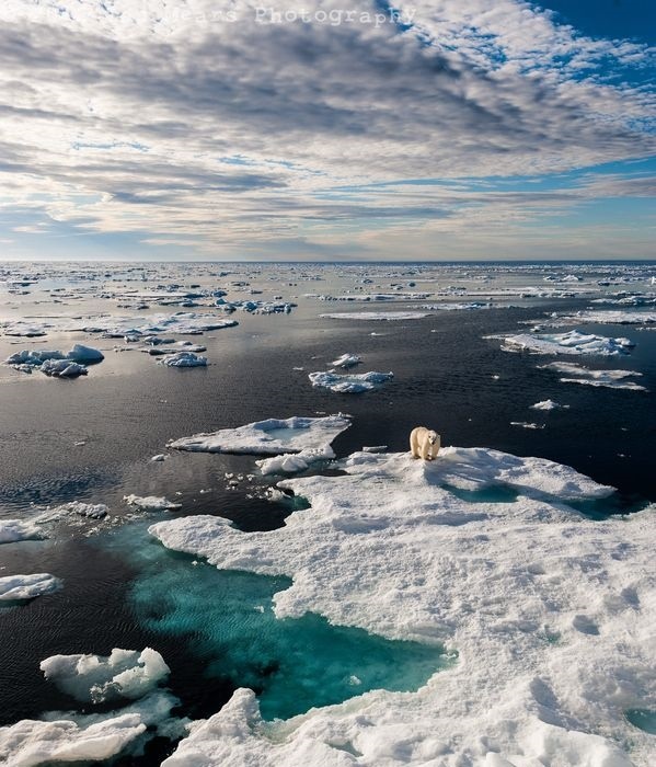 Источник: Яндекс.Картинки