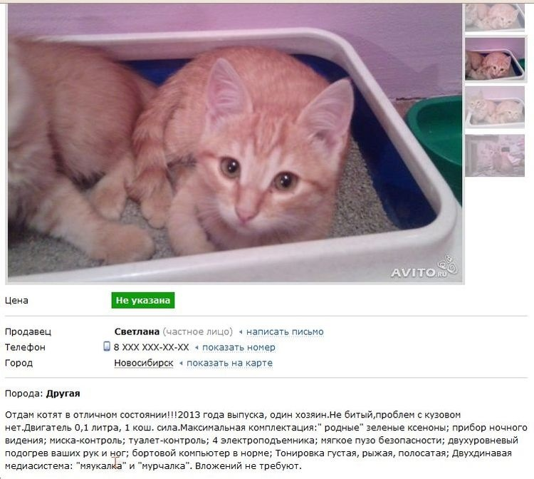 фото взято из открытых источников.