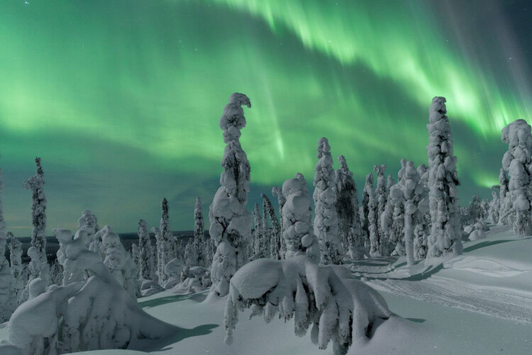 Фото: lapland.fi
