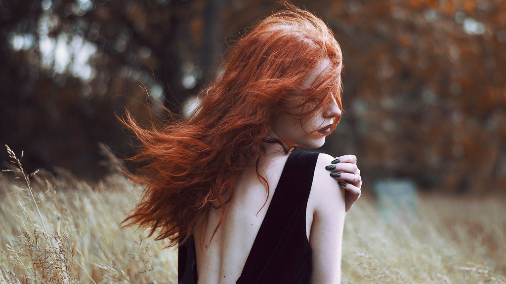 Фото из открытого источника