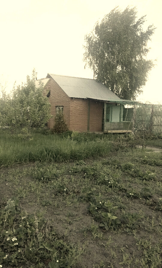 Та самая дача