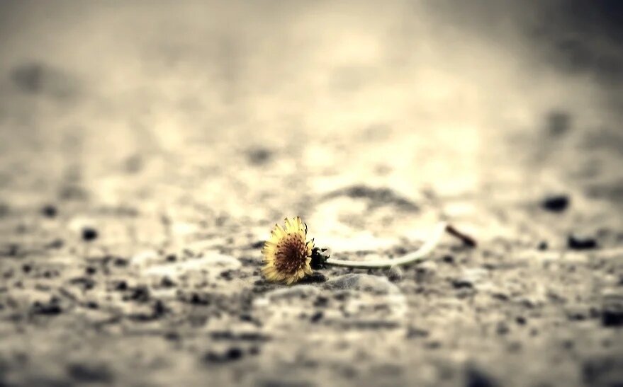 Чувствую, как тоже плачу...Мне жалко, невыносимо жалко Костю.     