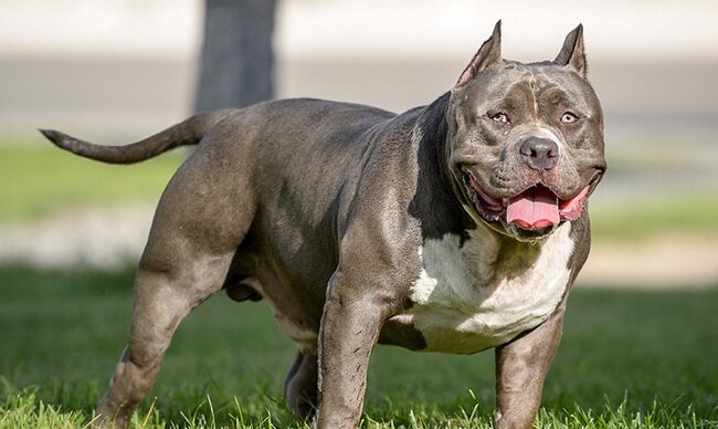 Взято с google.com