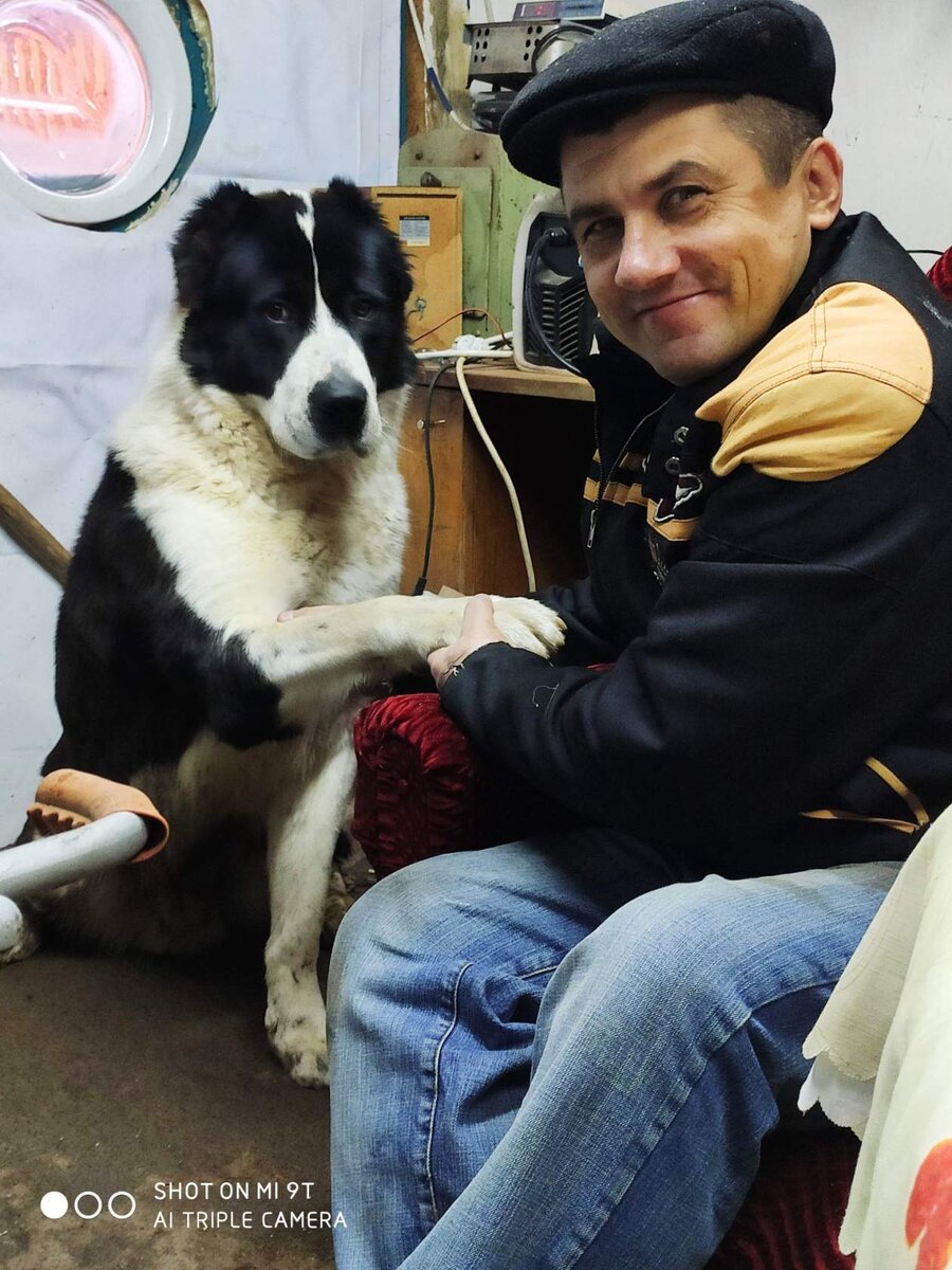 Шерхан всегда со мной в гараже.(настоящий мужик)я шучу.